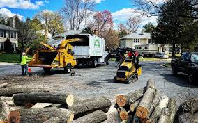 Old Orchard, PA Tree Removal and Landscaping Services Company